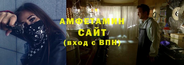 гидра Няндома