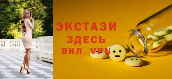 гидра Няндома