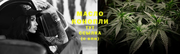 гидра Няндома