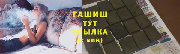 гидра Няндома
