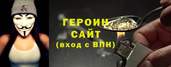 гидра Няндома