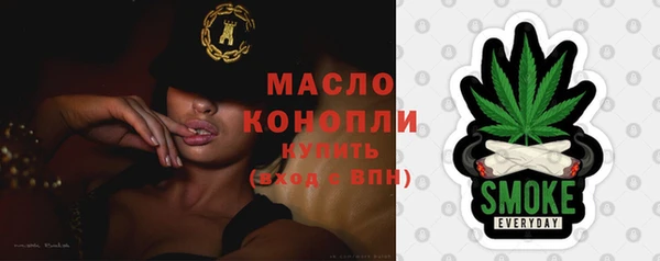 гидра Няндома