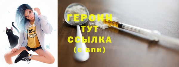 гидра Няндома