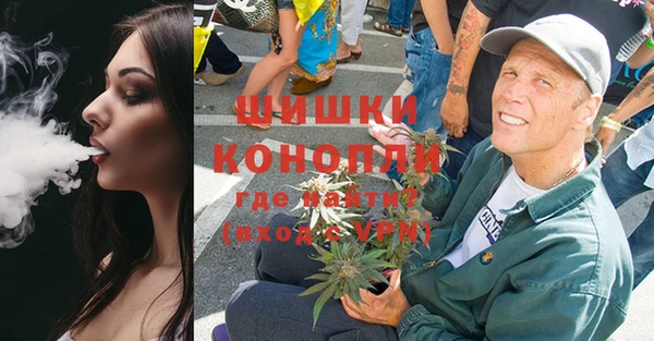 гидра Няндома