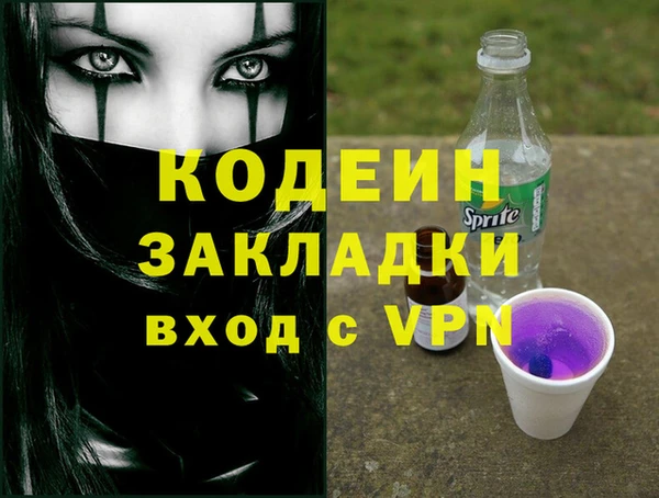 гидра Няндома