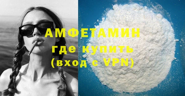 гидра Няндома