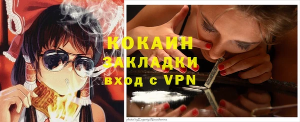 гидра Няндома