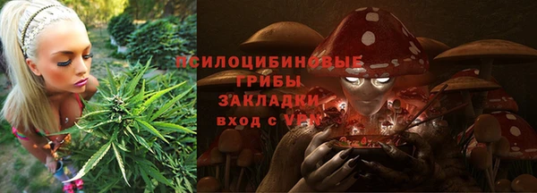 гидра Няндома