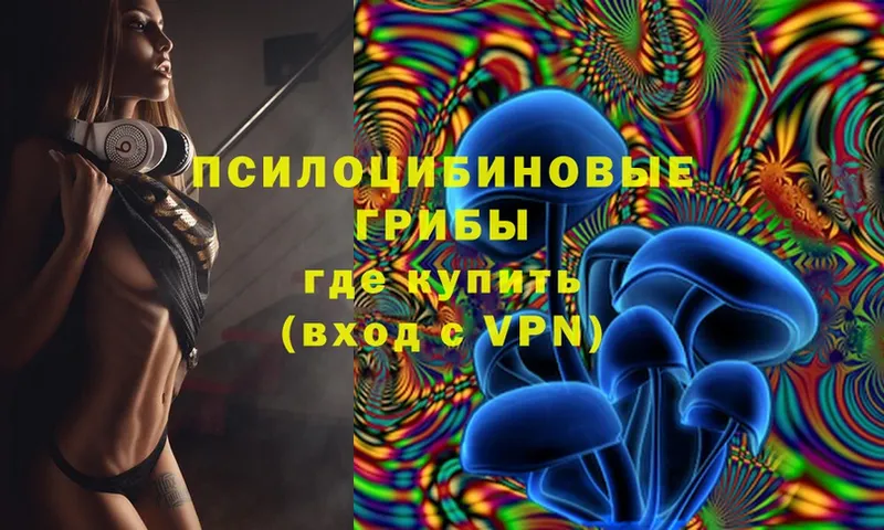 Псилоцибиновые грибы Magic Shrooms  Туринск 