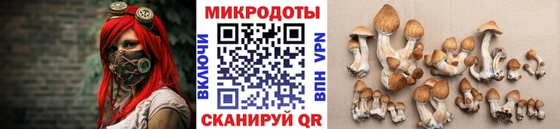 где купить наркоту mega мориарти как зайти Туринск Псилоцибиновые грибы Psilocybine cubensis